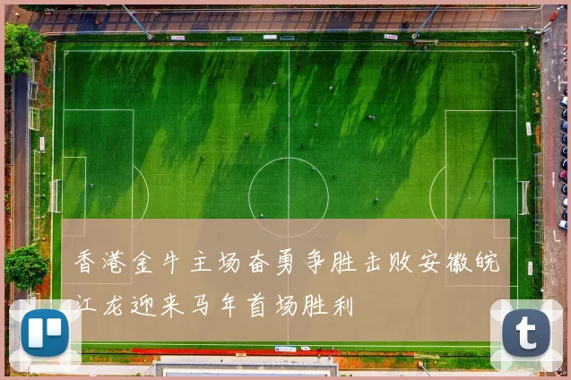 香港金牛主场奋勇争胜击败安徽皖江龙迎来马年首场胜利