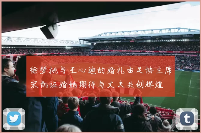 徐梦桃与王心迪的婚礼由足协主席宋凯证婚她期待与丈夫共创辉煌