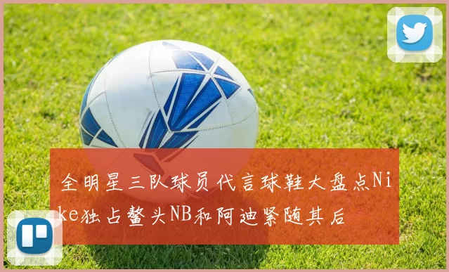全明星三队球员代言球鞋大盘点Nike独占鳌头NB和阿迪紧随其后
